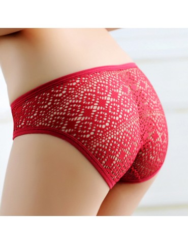 Sexy Big Square Openwork Mesh Fabric Soft Panties Lingerie